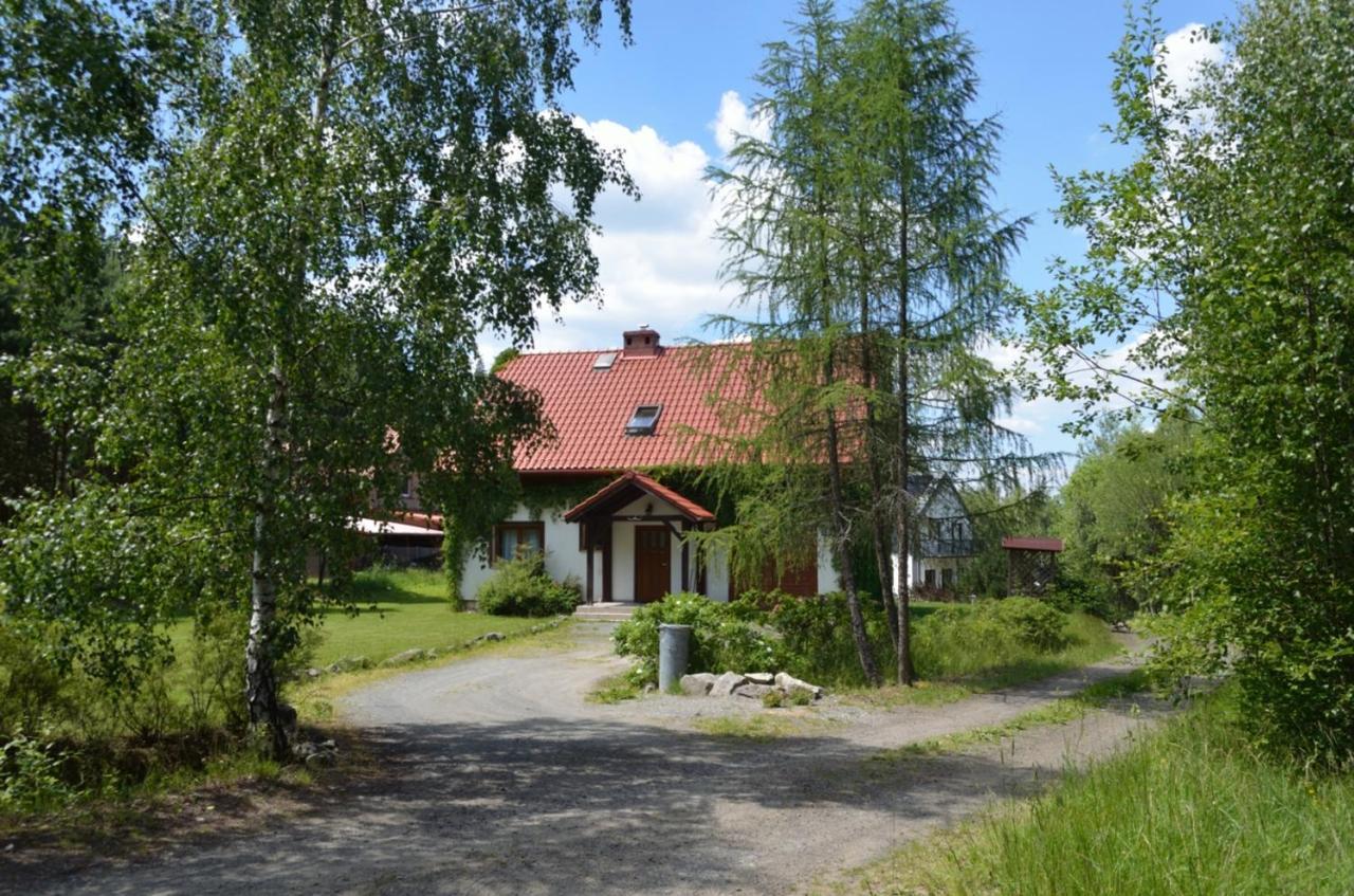 Dom Na Pstraznicy Villa Kudowa-Zdrój Kültér fotó