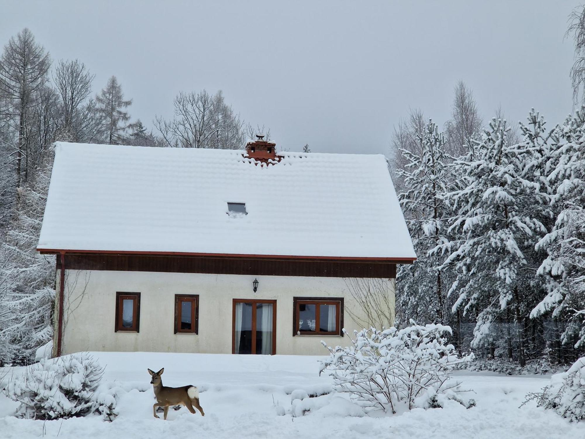 Dom Na Pstraznicy Villa Kudowa-Zdrój Kültér fotó