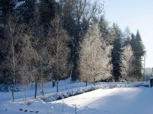 Dom Na Pstraznicy Villa Kudowa-Zdrój Kültér fotó