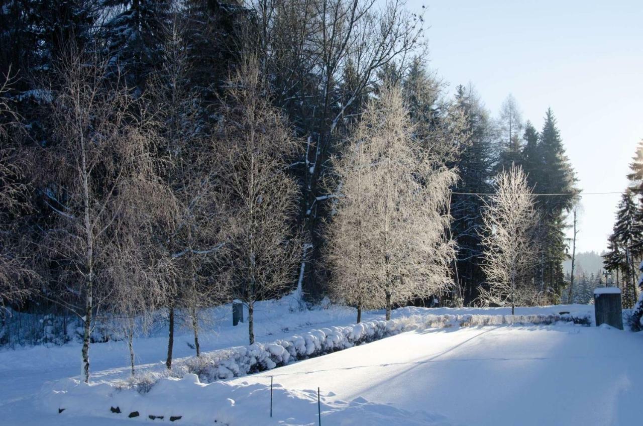 Dom Na Pstraznicy Villa Kudowa-Zdrój Kültér fotó