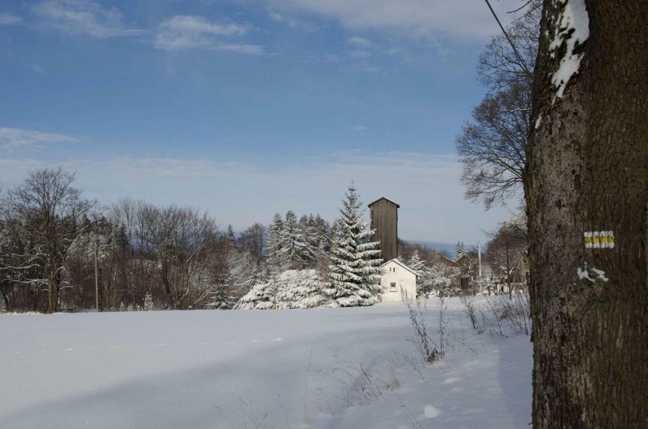 Dom Na Pstraznicy Villa Kudowa-Zdrój Kültér fotó