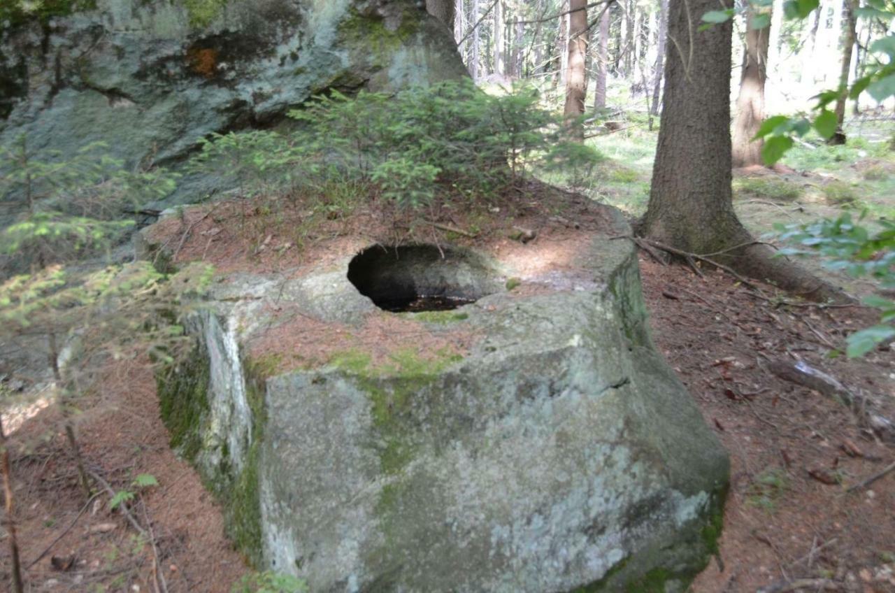 Dom Na Pstraznicy Villa Kudowa-Zdrój Kültér fotó