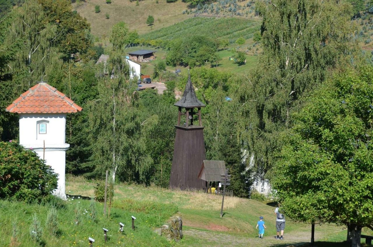 Dom Na Pstraznicy Villa Kudowa-Zdrój Kültér fotó