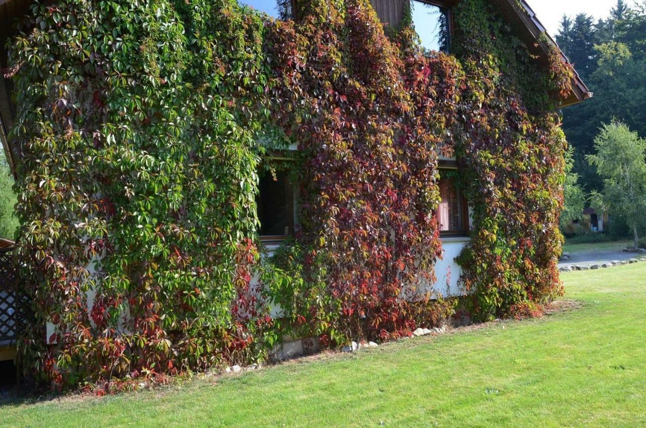 Dom Na Pstraznicy Villa Kudowa-Zdrój Kültér fotó