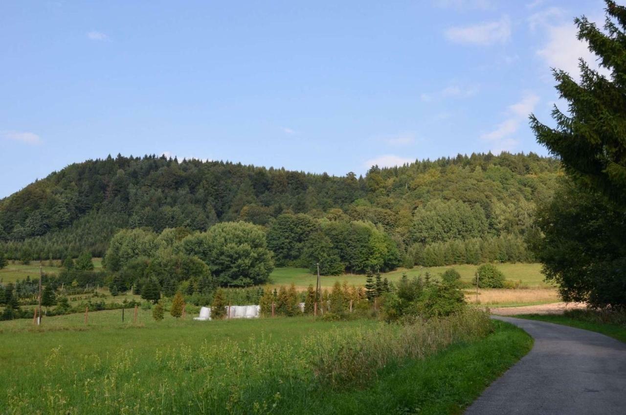 Dom Na Pstraznicy Villa Kudowa-Zdrój Kültér fotó